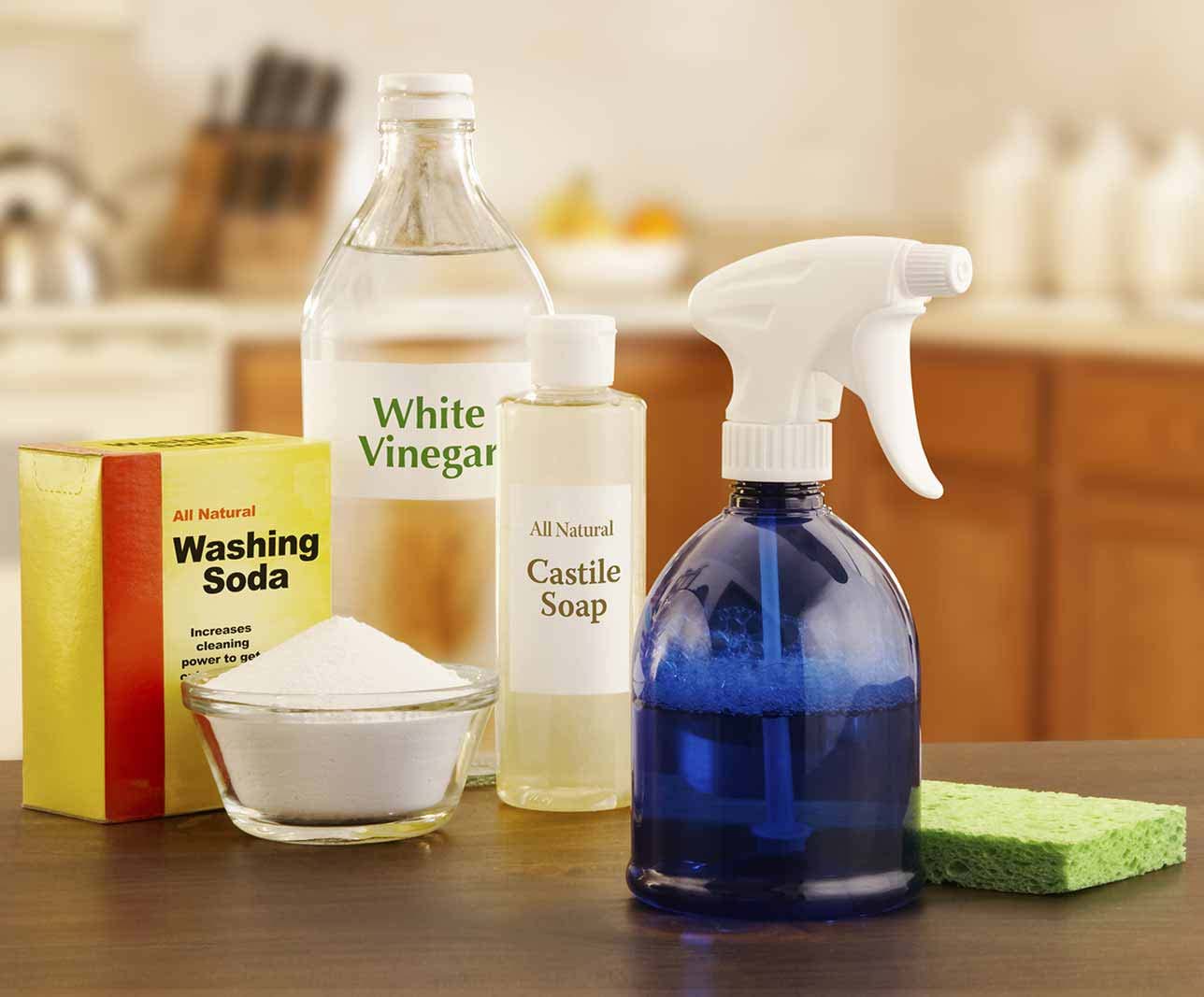 Eco-friendly cleaning products safe for pets in Seattle household