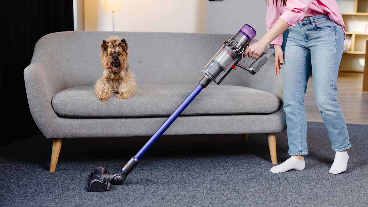 Freshly vacuumed carpet in pet-friendly Seattle home