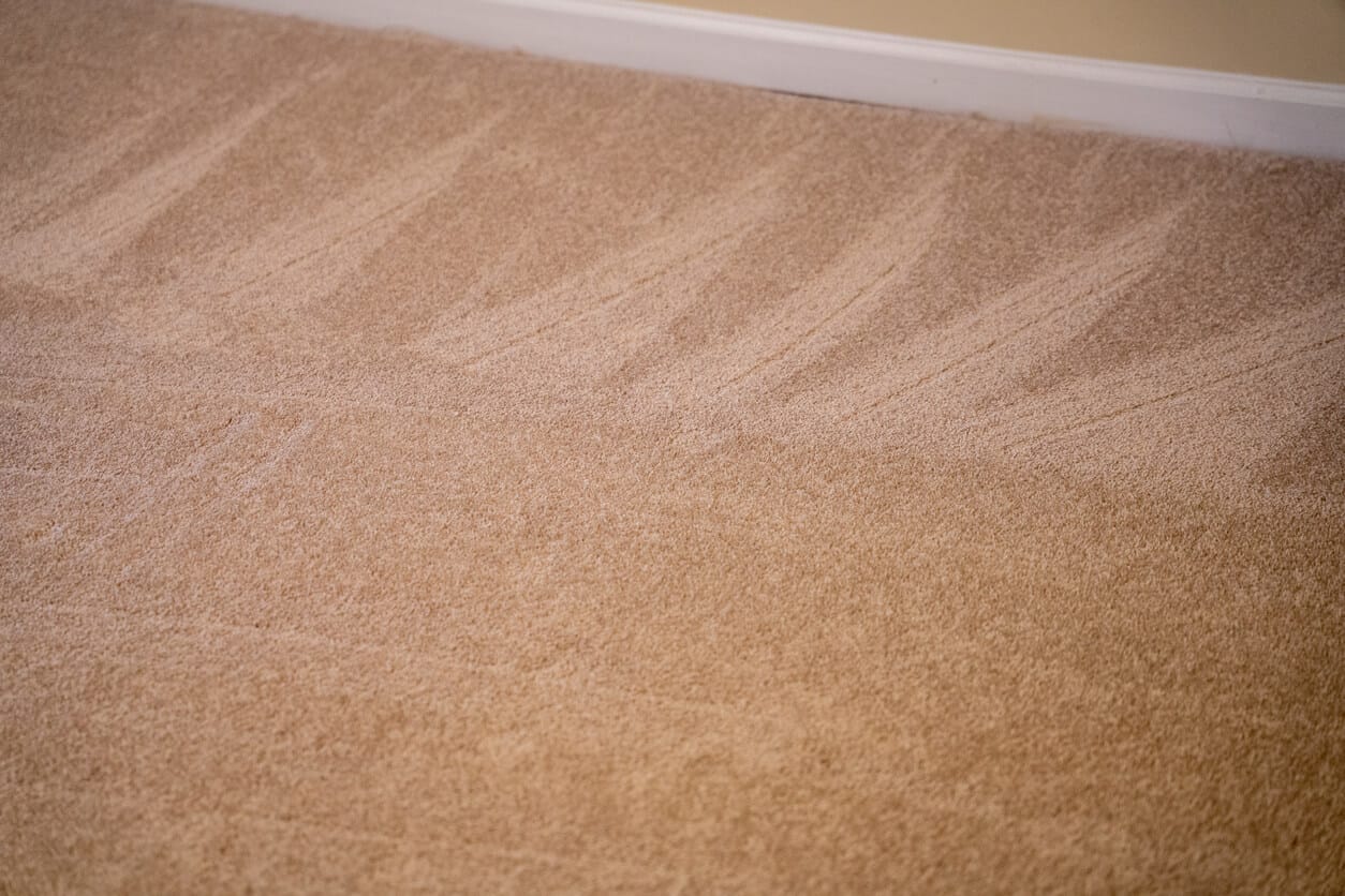 Vacuum lines across a freshly vacuumed beige carpet